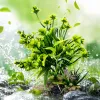 Green artificial aquatic plant decorative items, home fish tank landscaping simulation aquatic plant ornaments Specification image